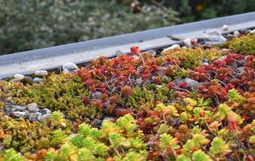 the cost of Manor Royal green roof installation