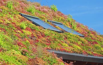 Manor Royal living roof systems