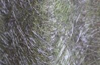 Manor Royal fibreglass roof work